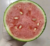 現摘現發(fā)2k西瓜當季手剝薄皮小糖丸西瓜新鮮水果冰糖子小西瓜 2-3斤（1-2個） 曬單實拍圖