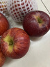 云南昭通丑蘋(píng)果5斤精選果新鮮水果冰糖心紅露蘋(píng)果紅玫瑰嘎啦果 5斤中果 曬單實(shí)拍圖