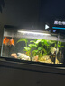米家（MIJIA）小米米家智能生態(tài)魚(yú)缸還原自然生態(tài)補倉一次三月無(wú)憂(yōu)出差旅行必備 曬單實(shí)拍圖