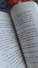 追風(fēng)箏的人套裝（套裝共3冊）（2021版） 小說(shuō) 曬單實(shí)拍圖