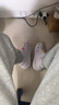 卡駱馳（CROCS）檀健次同款經(jīng)典泡芙洞洞鞋百舒適男沙灘鞋女鞋休閑鞋|207521 霜紫色-5BO 37 (230mm) 38 曬單實(shí)拍圖