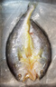 國信【冰凍】開(kāi)背大黃魚(yú)300g/條 去鱗去鰓去內臟+開(kāi)背 300g/袋*5條 特惠裝 曬單實(shí)拍圖
