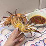 【活蟹】陽澄戰(zhàn)地大閘蟹 鮮活大螃蟹公蟹母蟹 海鮮水產生鮮禮盒 公4.5-4.8兩母3.5-3.8兩5對10只 曬單實拍圖