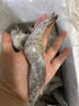 繽鮮 厄瓜多爾白蝦大蝦 鮮活速凍特大生鮮 海鮮水產(chǎn)鮮活冰凍蝦基圍蝦 17-22cm 3斤(凈重)  【原裝特大】 曬單實(shí)拍圖