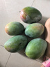 京覓四川凱特芒果新鮮水果凈重8斤單果410g+源頭直發(fā)包郵 曬單實拍圖