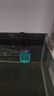 創(chuàng  )寧 魚(yú)缸變頻加熱棒 CN-005-500W 自動(dòng)恒溫 烏龜小型迷你加溫器 曬單實(shí)拍圖