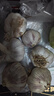 山東大蒜【中果】新鮮干蒜紫白皮大蒜農家新蒜頭生鮮蔬菜調味辛辣 大蒜中果3.5-4.5cm【凈重 250g 】 曬單實(shí)拍圖