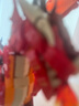 樂高LEGO21348IDEAS系列紅龍傳說龍與地下城拼搭積木玩具禮物家居裝飾 曬單實(shí)拍圖