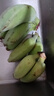 正宗蘋(píng)果蕉當季新鮮水果現摘自然熟小米蕉香蕉粉蕉整箱產(chǎn)地直發(fā) 【帶箱2斤】 蘋(píng)果蕉 曬單實(shí)拍圖