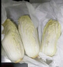 云南高原娃娃菜新鮮蔬菜生鮮乾隆白菜早餐火鍋必備產(chǎn)地直發(fā) 淺黃色 新鮮娃娃菜3顆裝*1包 曬單實(shí)拍圖