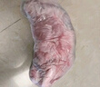 澇河橋 供港寧夏灘羊半扇羊排凈重3斤/袋 生鮮羊肉燒烤食材 曬單實(shí)拍圖