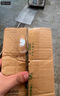 vivo iQOO Z10 Turbo 12GB+256GB 星穹黑 天璣8400滿血版 7620mAh超薄藍海電池 自研電競芯片Q1 手機 曬單實拍圖