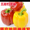 山東雙色水果彩椒圓椒產(chǎn)地直發(fā) 紅黃雙色水果五彩椒凈重 5斤 曬單實(shí)拍圖
