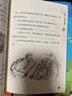 國際大獎作家作品精選全10冊（了不起的狐貍爸爸查理和巧克力工廠(chǎng)兒童文學(xué)）三四五六年級學(xué)生閱讀課外書(shū) 大獎作家作品 父親禮物 曬單實(shí)拍圖