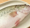 鮮活沖浪河鱸魚(yú)400-500g/條 曬單實(shí)拍圖