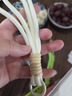 斯得弗 適用三星s25+手機殼Galaxy保護套輕薄防摔簡約風(fēng)卡通風(fēng)彩繪硅膠軟殼【卡皮巴拉】送掛繩送墊片 曬單實拍圖