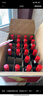 加達爾莊園 智利進(jìn)口干紅14.5度紅酒小瓶歐梵仕葡萄酒187ml*24瓶禮盒裝送禮 24*瓶干紅葡萄酒 曬單實(shí)拍圖