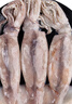 美加佳 鮮凍整只大魷魚(yú)（2-3只） 凈重550g 整條魷魚(yú) 深海捕撈 中秋送禮 曬單實(shí)拍圖