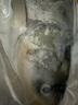 鮮喜愛(ài) 冷凍千島湖有機鰱魚(yú)頭1.5斤 白鰱魚(yú)頭  生鮮魚(yú)類(lèi) 海鮮水產(chǎn) 曬單實(shí)拍圖