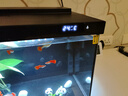 森森金麟超白玻璃魚(yú)缸一體缸自循環(huán)客廳小型家用水族箱LE-480B 曬單實(shí)拍圖