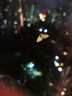 蓓昂斯西班牙進口蓓昂斯卸妝水面部眼唇卸妝清潔保濕舒緩肌膚敏感肌可用 【超值裝】卸妝水500m*2瓶 曬單實拍圖