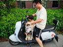 小傘 電動(dòng)車(chē)兒童座椅前置 嬰幼兒電瓶車(chē)遛娃安全座椅小孩寶寶前置坐椅 奶咖色【專(zhuān)用坐墊+熊貓防撞墊】 曬單實(shí)拍圖