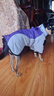 拉維佩特（LOVINGPET）狗狗衣服秋冬季 保暖寵物狗衣服邊牧衣服中型犬金毛狗衣服大型犬 灰紫色 4XL 建議36-45斤 曬單實(shí)拍圖