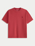 ABERCROMBIE & FITCH【重磅百搭】男裝25夏季經(jīng)典小麋鹿棉質(zhì)圓領(lǐng)短袖T恤KI124-5181 紅色 XL (180/116A) 曬單實(shí)拍圖