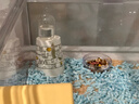 布卡星彩虹紙粒倉鼠祛味墊料吸水除臭金絲熊造景用品藍色1kg 曬單實(shí)拍圖