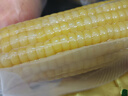 十月稻田 黃糯玉米 3.52斤(220g*8根) 東北低脂玉米 早餐零食 真空包裝 曬單實(shí)拍圖