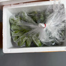 京喜自營(yíng) 廣西網(wǎng)紅小米蕉 青香蕉發(fā)貨放熟吃 新鮮水果一件包郵 青蕉發(fā)貨 凈重5斤 曬單實(shí)拍圖