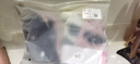 潔麗雅春夏5雙裝親膚舒適透氣棉質中筒襪中大寶寶女童襪子兒童襪子女童 韓系主題卡通童襪5雙 XL(9-12歲) 曬單實拍圖