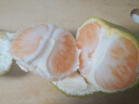 春福樂 正宗云南青皮蜜桔【產(chǎn)地直發(fā)】當季新鮮孕婦水果桔子 凈4.5-5斤精選果【單果50mm+】 曬單實拍圖
