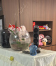 哈曼卡頓Soundsticks 5 音樂(lè )水晶5代玄光版丁禹兮桌面藍牙音箱低音炮音響水晶5黑色居家藝術(shù)音響生日禮物 【重磅上新】水晶5·玄光版 曬單實(shí)拍圖