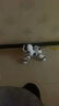 AOCTIK德國品牌機器狗智能兒童寶寶玩具電動(dòng)寵物遙控小狗唱歌節日禮物 升級款機器狗-黑色 曬單實(shí)拍圖