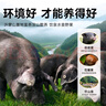 金鑼冷鮮肉 沂蒙山黑豬去皮五花肉1000g 精品五花肉條 生鮮烤肉食材 曬單實(shí)拍圖