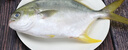 環(huán)球水產(chǎn) 南海金鯧魚(yú)凈重2斤/2條 生鮮魚(yú)類(lèi) 深海魚(yú) 海鮮 火鍋燒烤家庭聚餐 曬單實(shí)拍圖