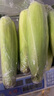 京鮮生&佳農寶菜山東新鮮水果玉米健康輕食玉米4-6根4.5斤裝源頭直發(fā) 曬單實(shí)拍圖
