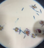 愛麗思（IRIS） 愛麗思電壓力鍋家用高壓鍋電飯煲火鍋智能多功能電飯鍋IRIS大容量 2.2L白色【點陣屏】 2.2L 曬單實拍圖