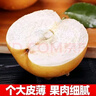 【精選優(yōu)品】現(xiàn)摘山東時(shí)令鮮果秋季月梨豐水梨 爆甜多汁整箱發(fā)貨 5斤果凈重4.5斤 精品裝單果250g+ 曬單實(shí)拍圖