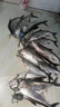 釣魚(yú)神器黑科技超聲波誘魚(yú)器探魚(yú)器電子捕戶(hù)魚(yú)器強效聚魚(yú)抓魚(yú)神器 一個(gè)【誘光整條河】 曬單實(shí)拍圖