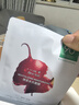 一葉子面膜補水保濕鎖水改善干燥水潤貼片式免洗面貼禮盒男女送禮自用 天才面膜禮盒 曬單實拍圖