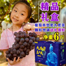 秦人農(nóng)匠 正宗戶太八號(hào)【順豐空運(yùn)】陜西戶縣葡萄新鮮滬太8號(hào)西安特產(chǎn)禮盒 凈重6斤 匠心禮盒裝 順豐空運(yùn) 戶縣直發(fā) 曬單實(shí)拍圖