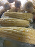 東北農嫂糯玉米甜糯香粘真空裝黏玉米棒粒吉林產(chǎn)低脂主食可選有機 【新貨更甜糯】白甜糯2kg約8穗 曬單實(shí)拍圖