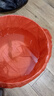 金魚(yú)活魚(yú)不加溫冷水魚(yú)觀賞魚(yú)淡水魚(yú)活體草金魚(yú)苗小金魚(yú)好養(yǎng)寵物魚(yú) 10-11CM大紅獅2條 曬單實(shí)拍圖