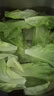云南鮮生菜約400g 曬單實(shí)拍圖