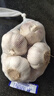 大蒜頭出口品質(zhì)網(wǎng)兜紫蒜蔬菜調(diào)料新鮮大果燒烤火鍋食材 【精品網(wǎng)兜裝】1斤裝 450g 曬單實(shí)拍圖
