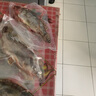 品鮮肴淡水魚(yú)生態(tài)小桂魚(yú)鱖魚(yú)桂花魚(yú)鰲花魚(yú) 漁民捕獲鮮活魚(yú)現殺水產(chǎn)生鮮 凈膛三去800g （2-4條）小桂魚(yú) 曬單實(shí)拍圖