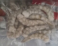 東方甄選冷凍青蝦仁去蝦線(xiàn)南美白蝦生鮮海鮮水產(chǎn)獨立包裝速凍冰凍蝦仁送禮 【51-60】 1000g(凈重)  *1袋 曬單實(shí)拍圖