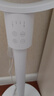 米家小米空氣循環(huán)扇電風(fēng)扇落地扇家用直流變頻大廣角輕音節能臺地兩用 APP調節 曬單實(shí)拍圖